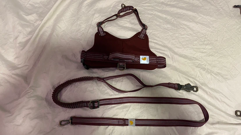 Carhartt Dog Harness and Leash Set