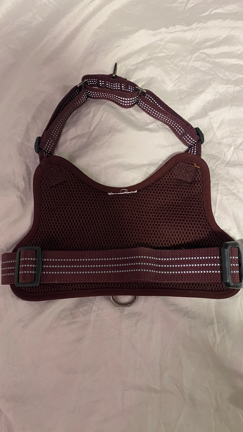 Carhartt Dog Harness and Leash Set - photo 5