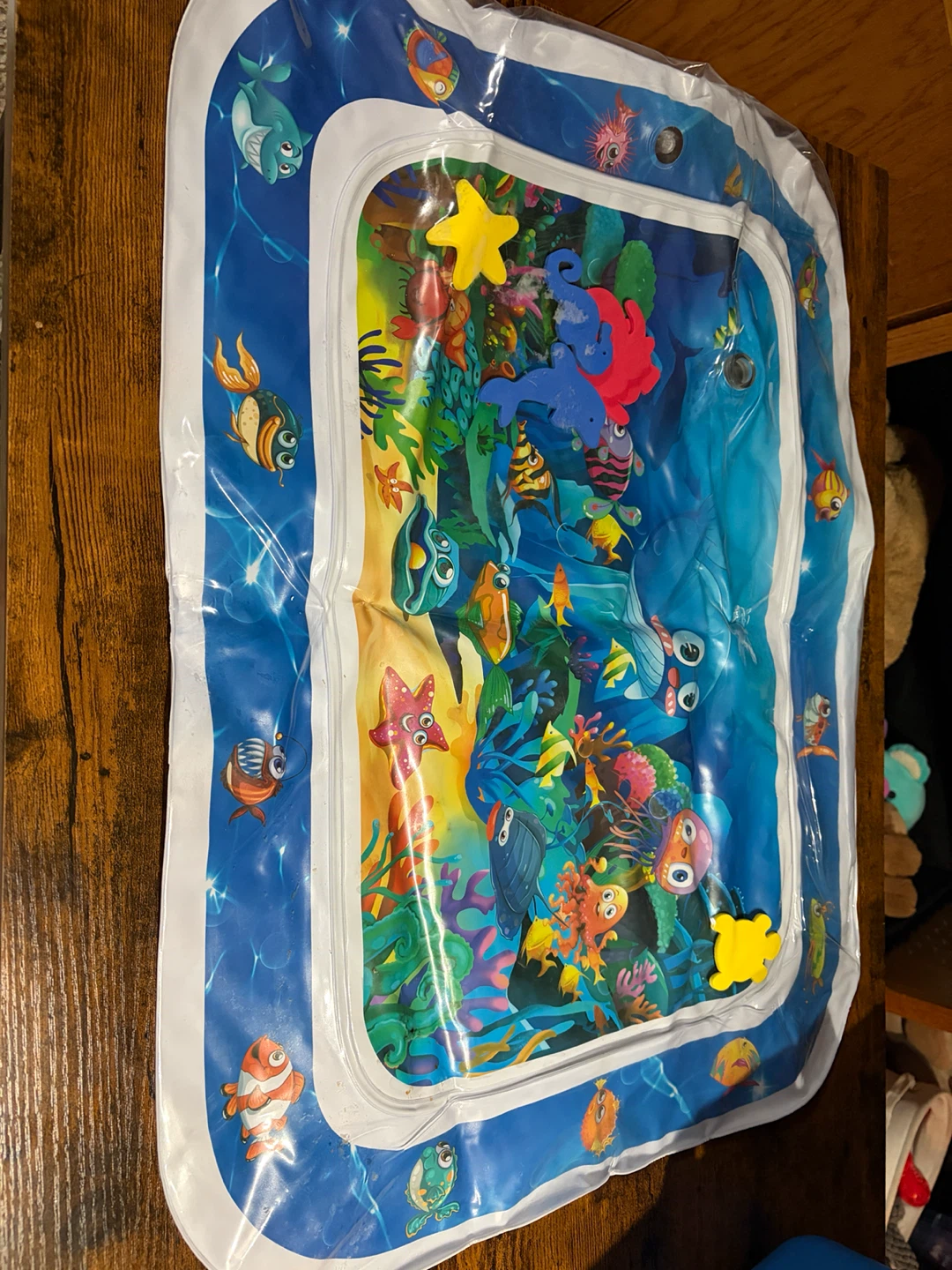 Inflatable Tummy Time Water Mat
