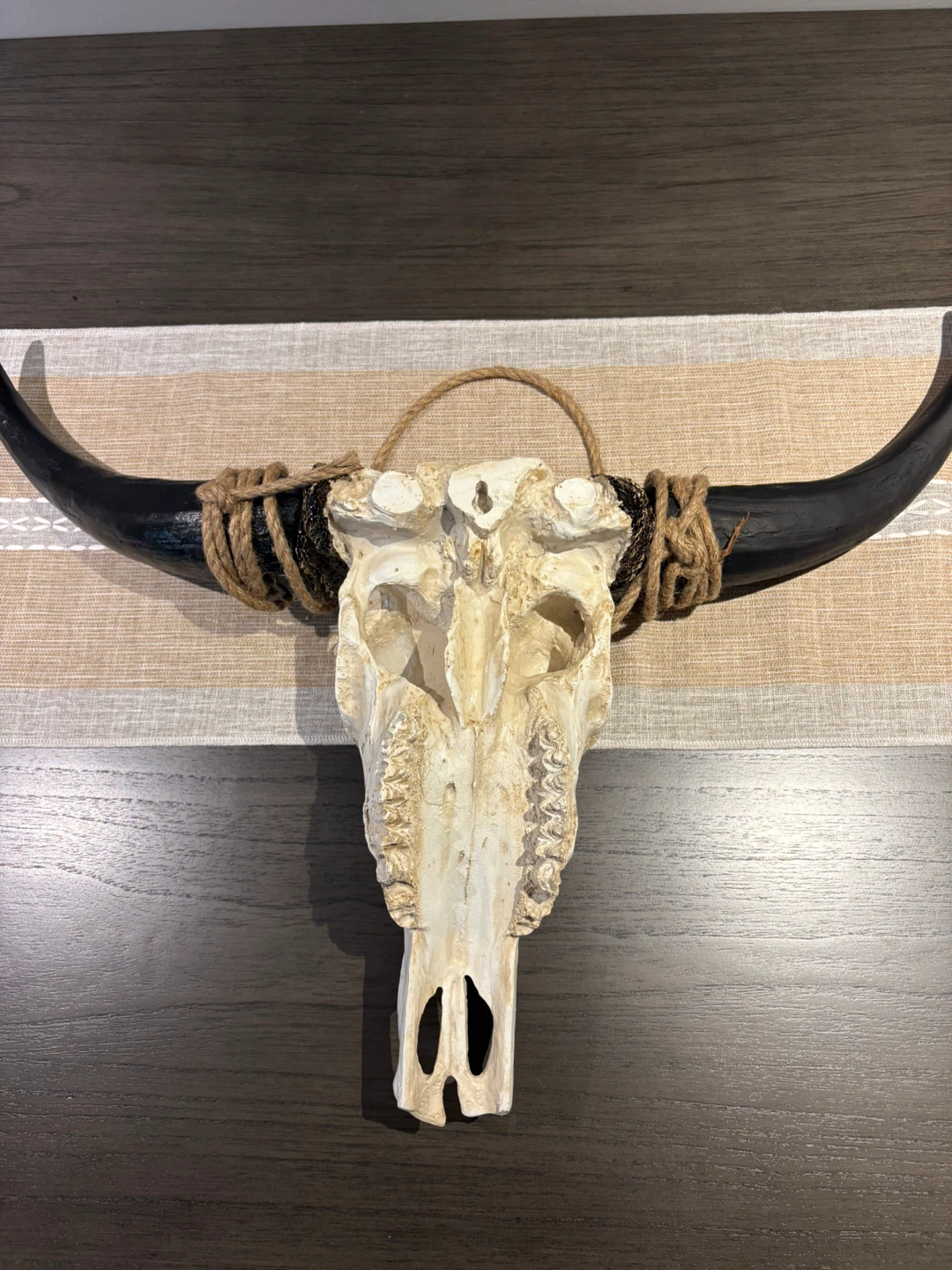 suruim Longhorn Skull Wall Decor - photo 2