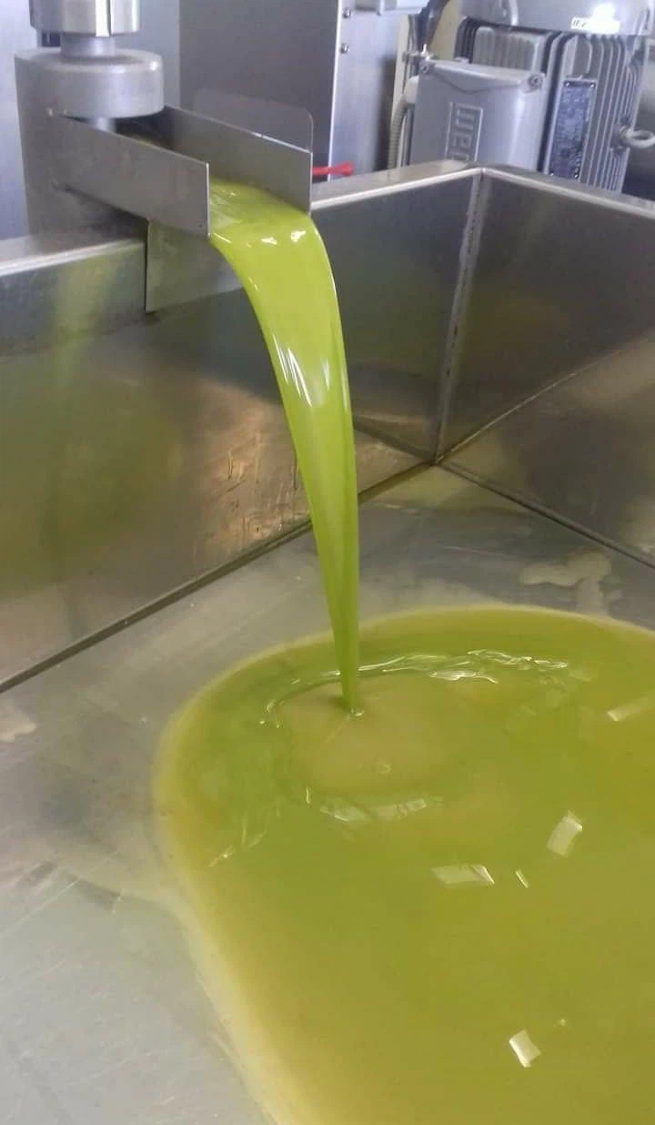 🇬🇷🫒 AUTHENTIC EXTRA VIRGIN OLIVE OIL FROM GREECE! 🫒🇬🇷 - photo 2