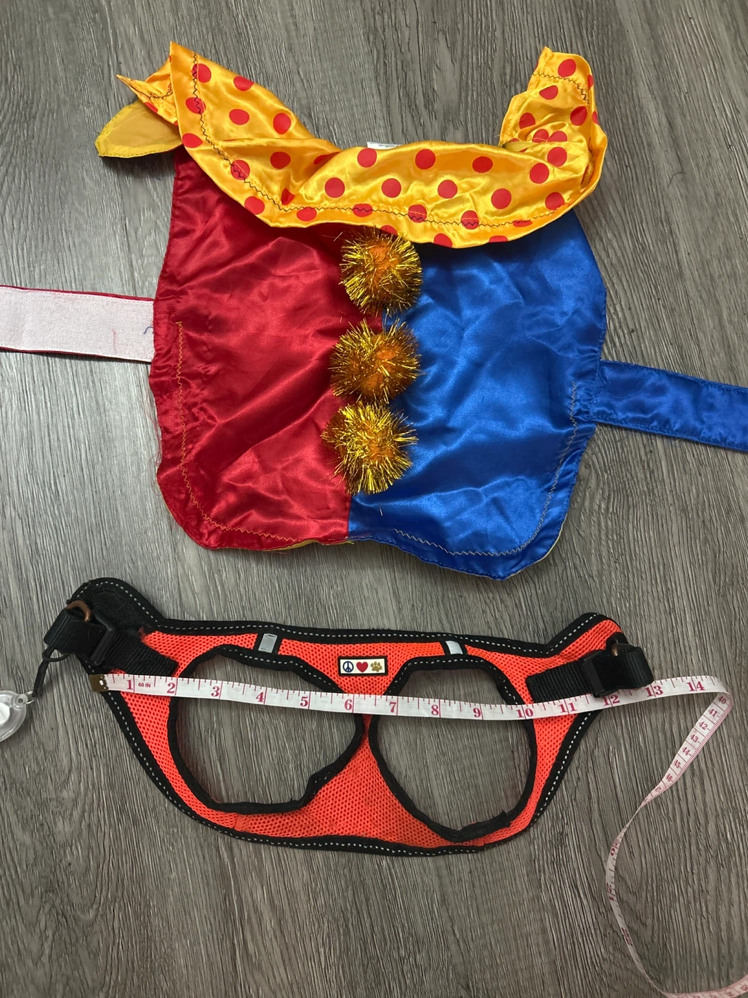 Pet Clown Costume and Orange Harness