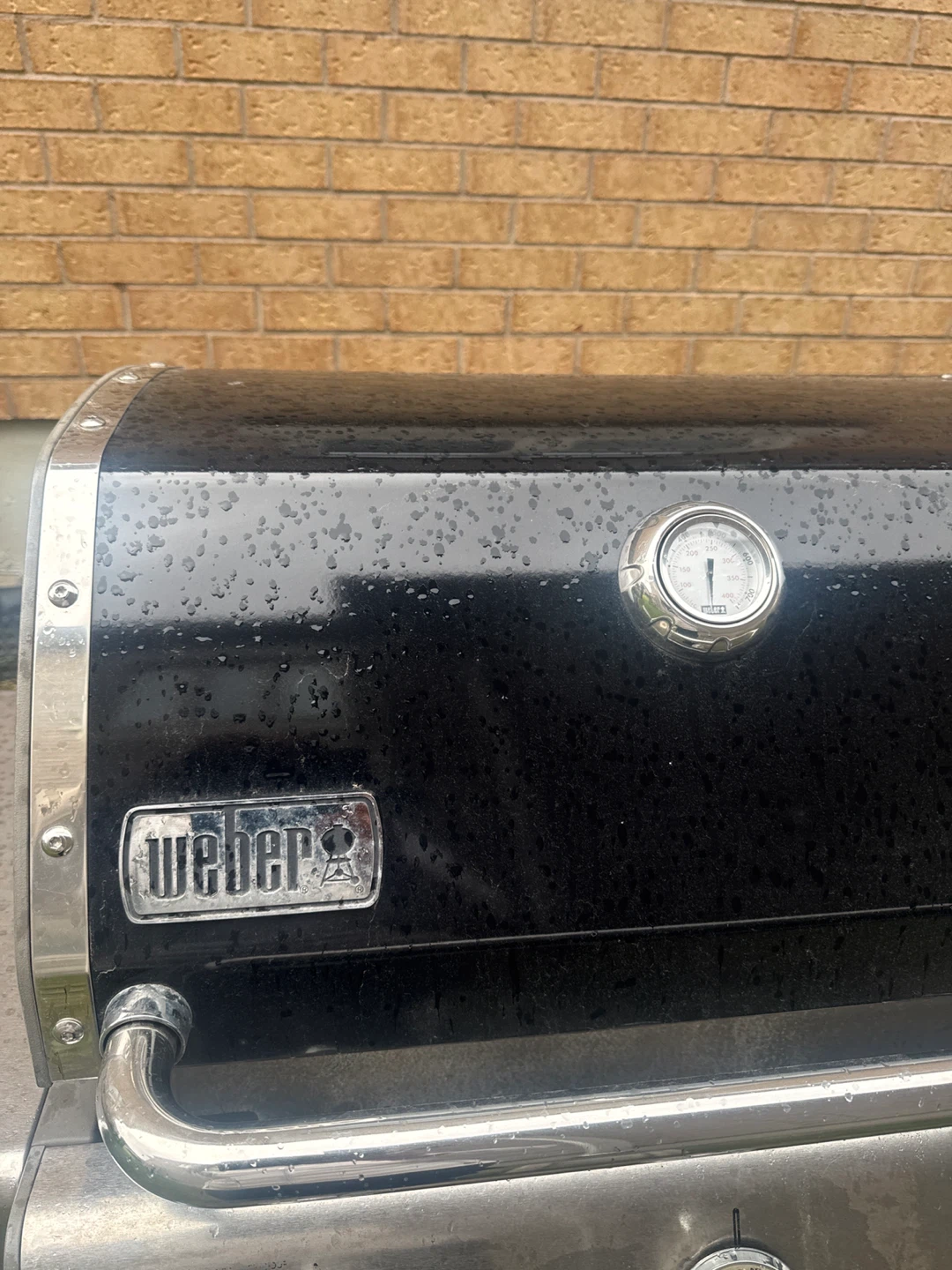Weber Genesis Gas Grill - photo 4