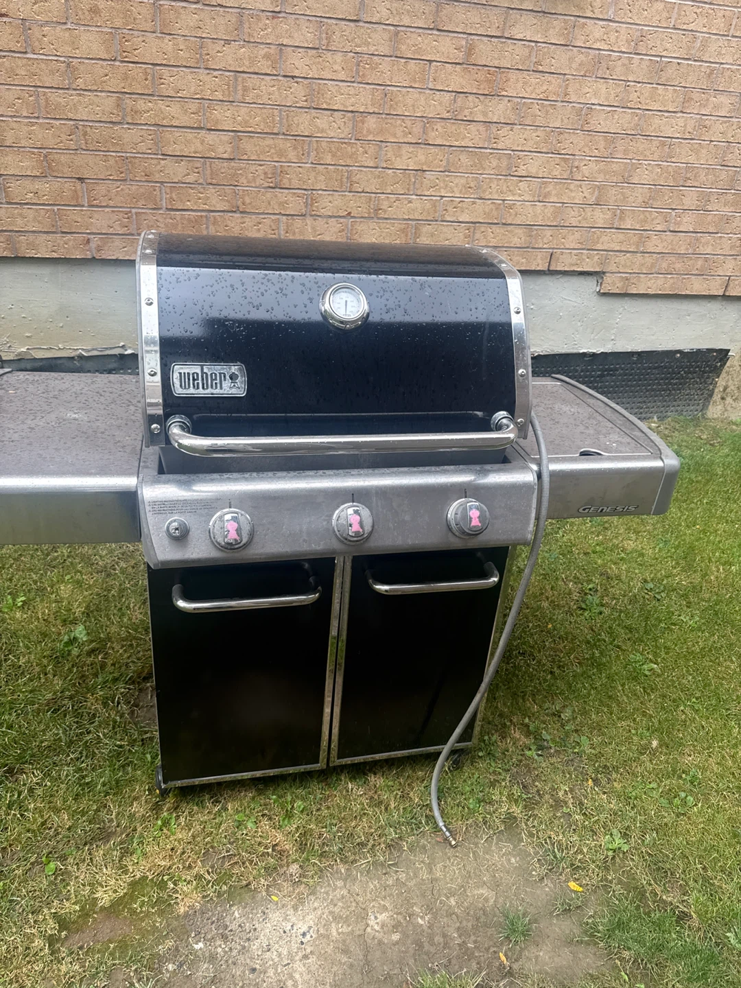 Weber Genesis Gas Grill