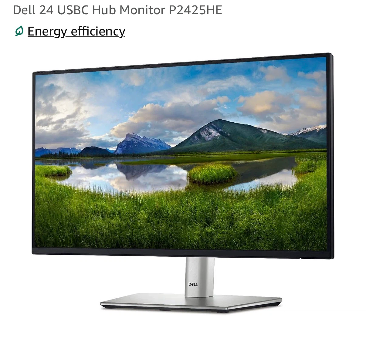 Dell P2425HE Monitor, Lenovo Keyboard, Mouse, and Headset