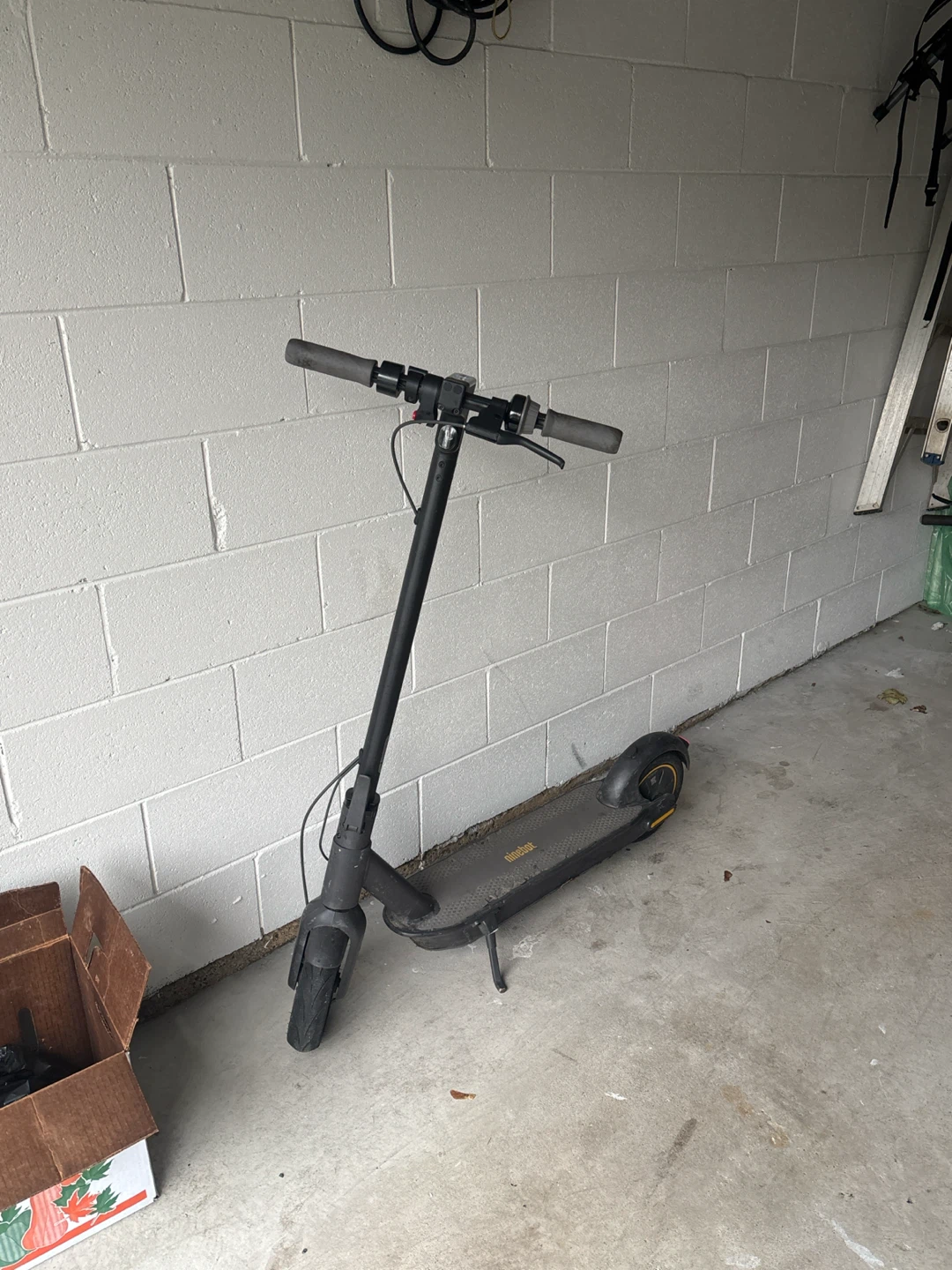 Ninebot Electric Scooter