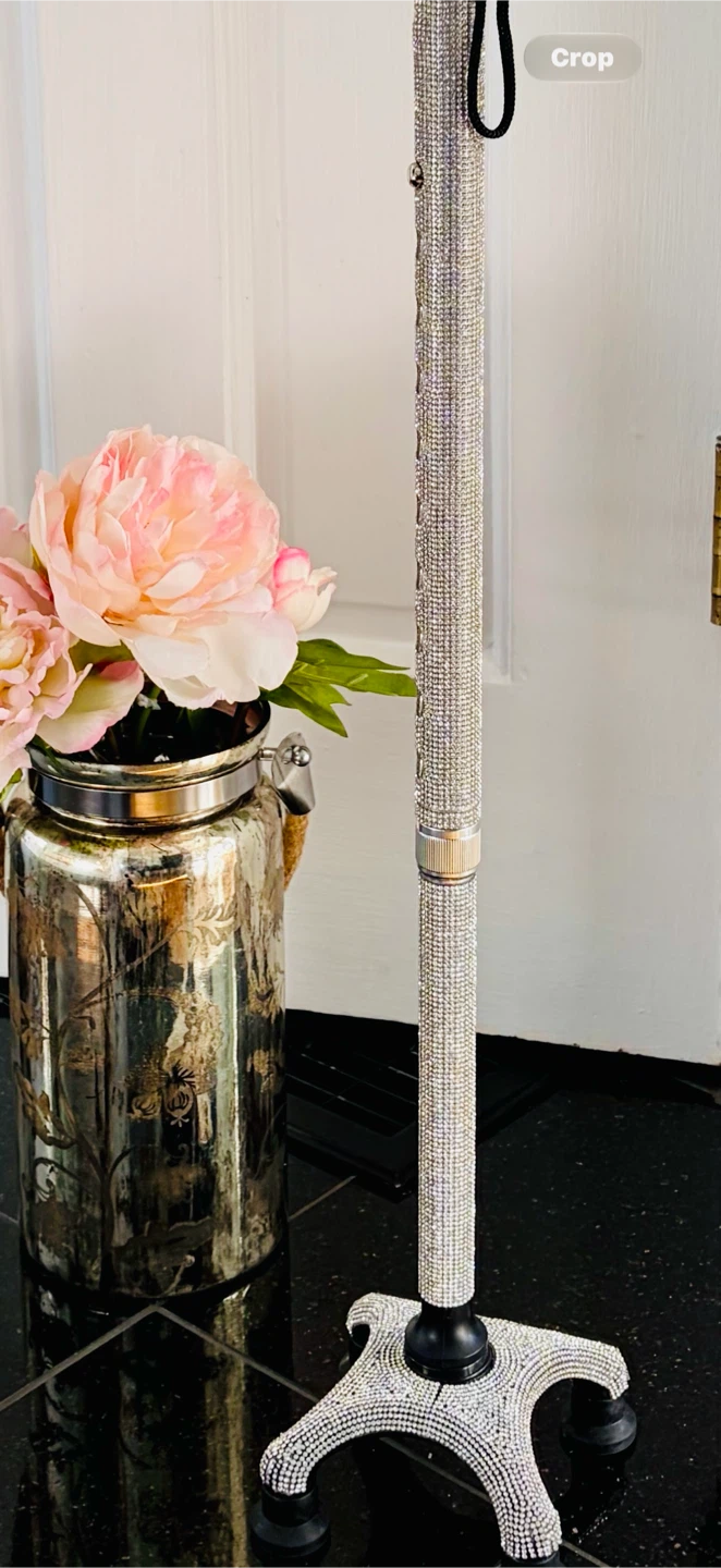 BEAUTIFUL SPARKLY CANE - photo 2