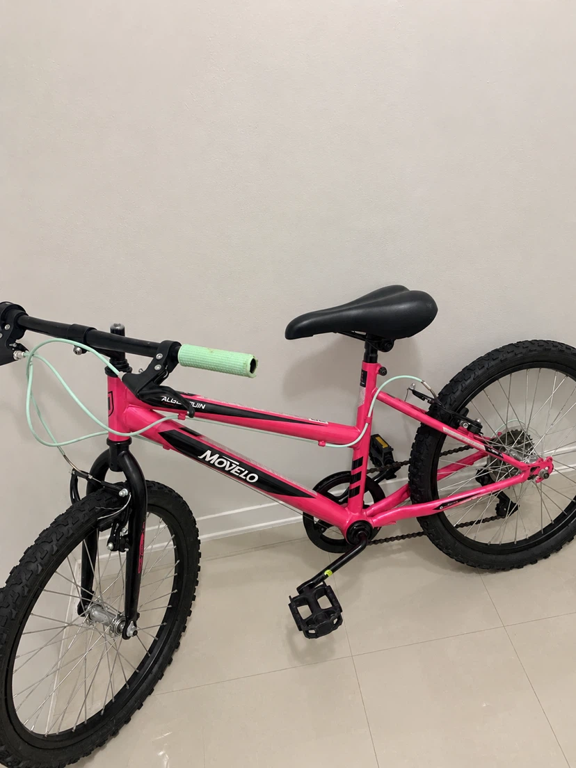 Movelo Algonquin 20-inch Pink Mountain Bike