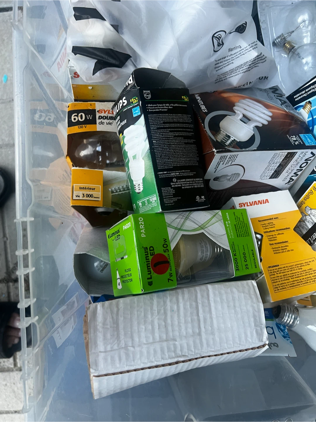 Assorted Household Light Bulbs Bundle
