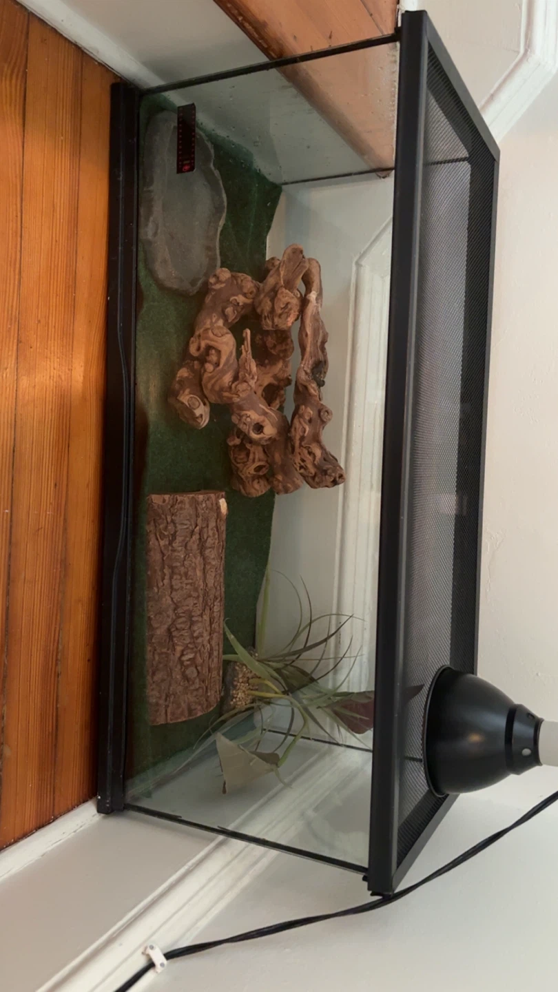 Glass Reptile Terrarium Tank