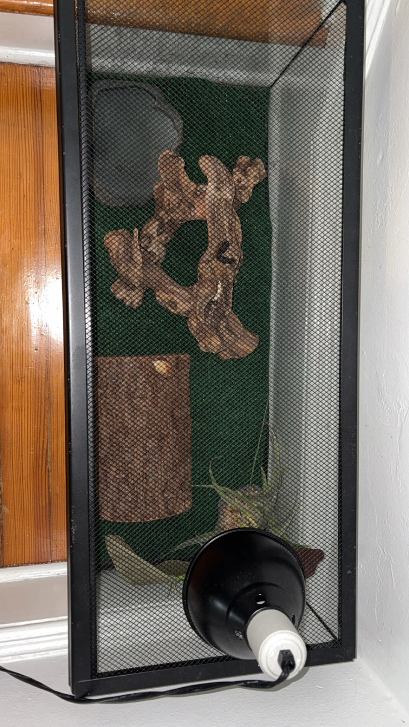 Glass Reptile Terrarium Tank - photo 2