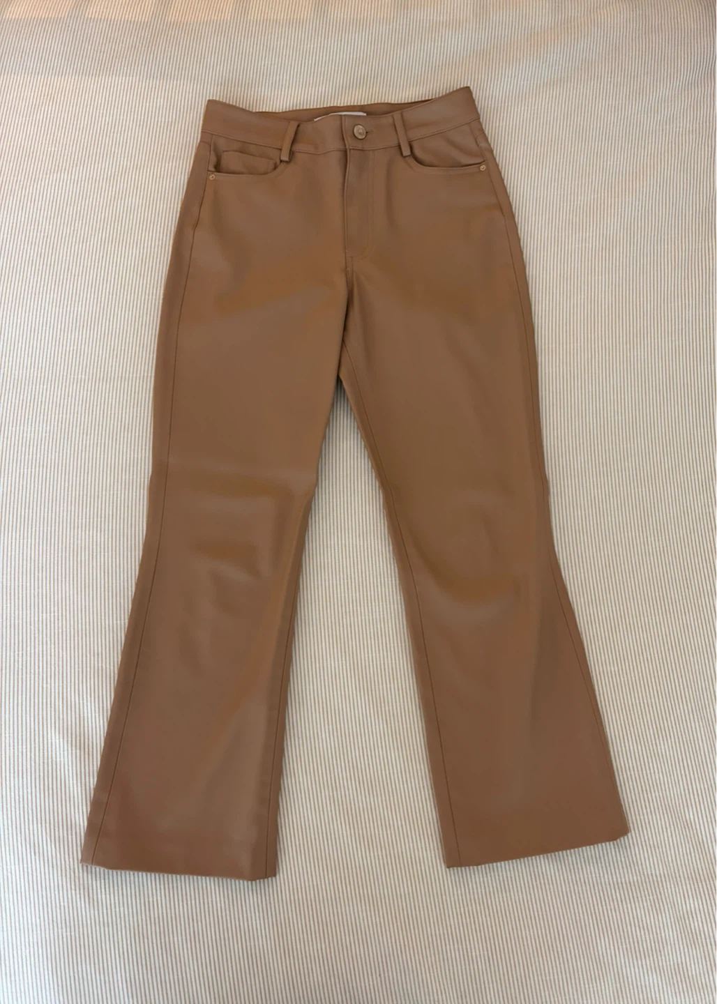 Zara Vegan Leather Pants (Size 2)