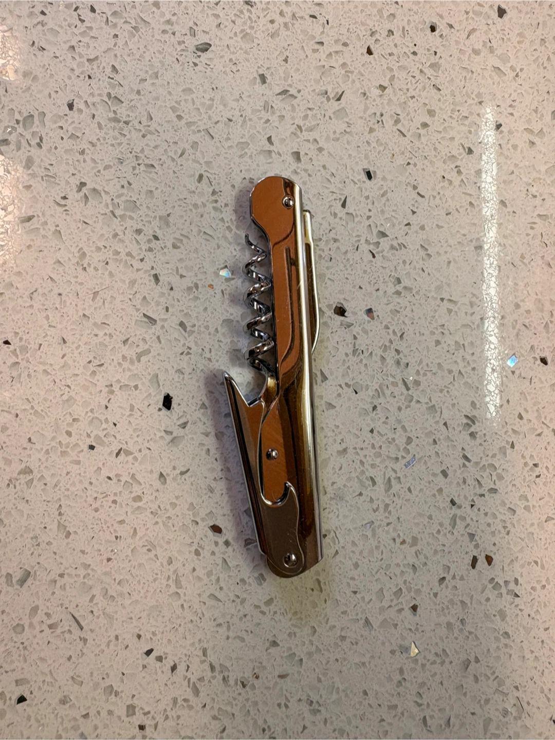 Stainless Steel Waiter's Corkscrew