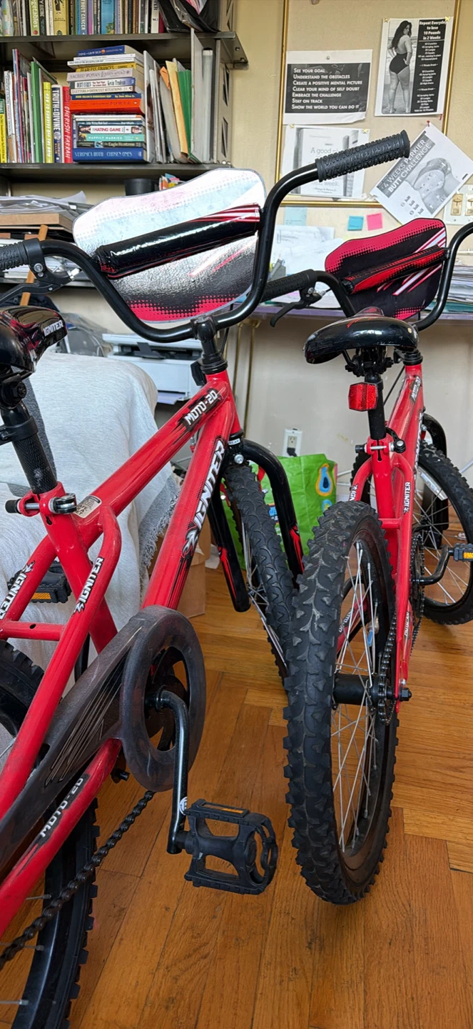 Pacific Igniter Moto-20 Kids Bike
