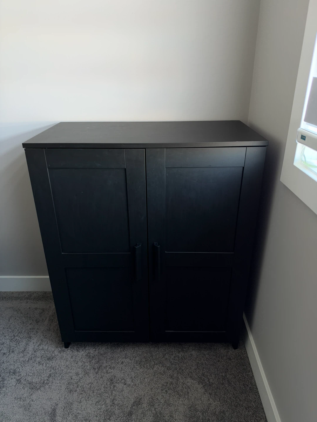 Two-Door Storage Cabinet - photo 3