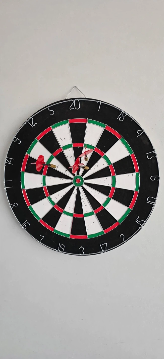 Professional Dartboard with Three Darts