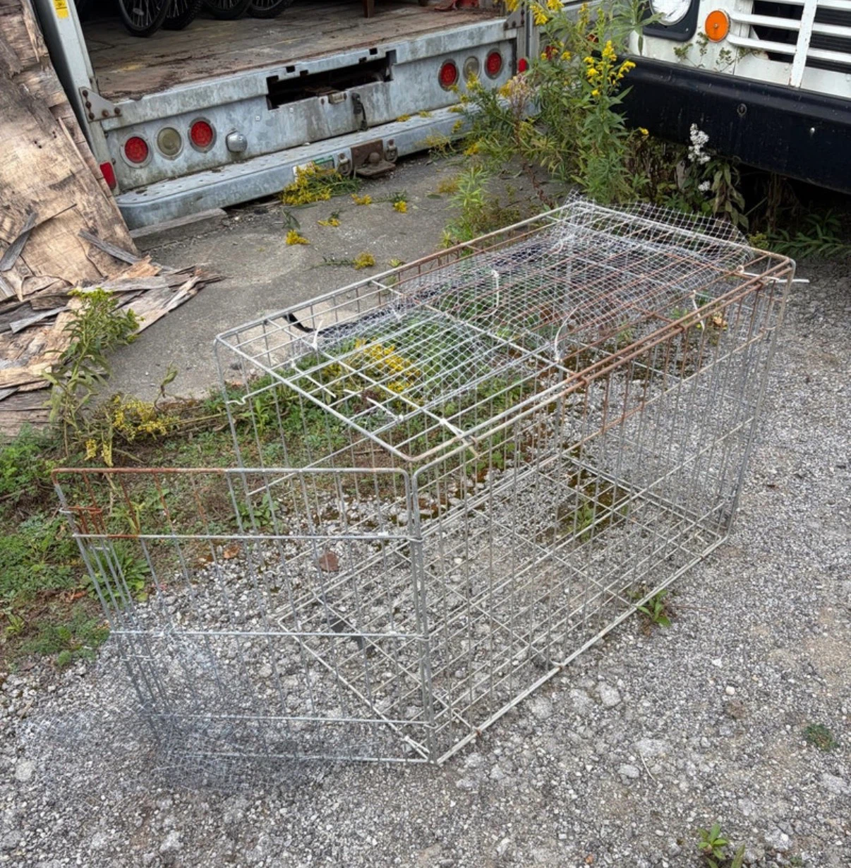 Metal wire pet crate