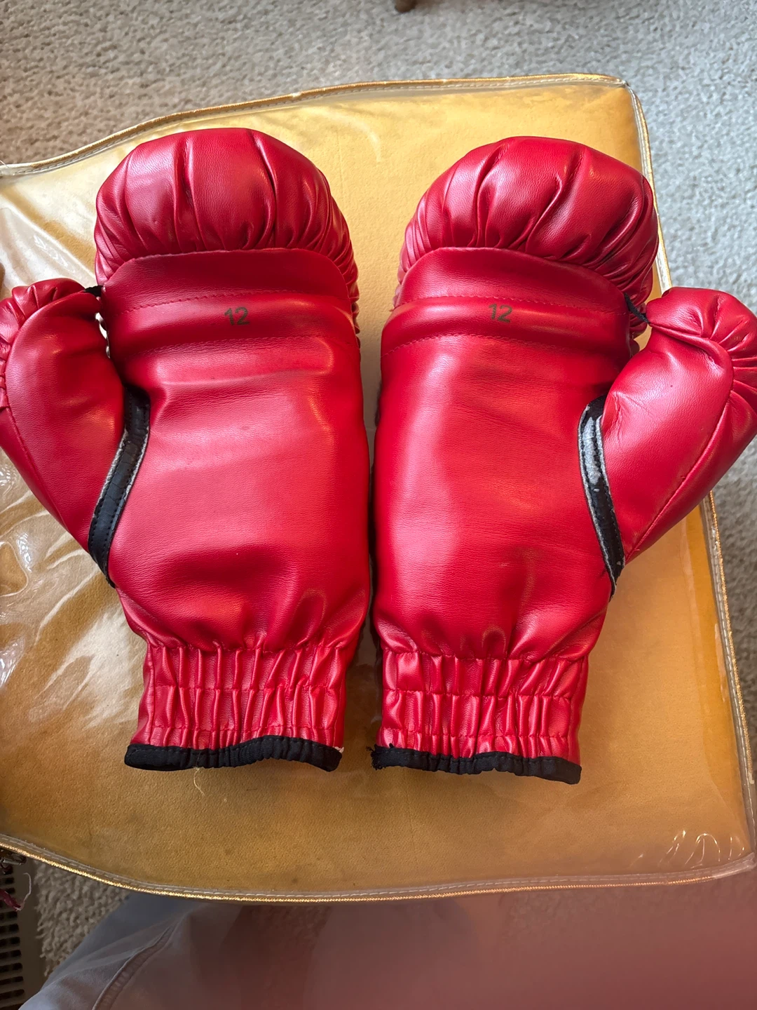 Boxing Gloves  Everlast