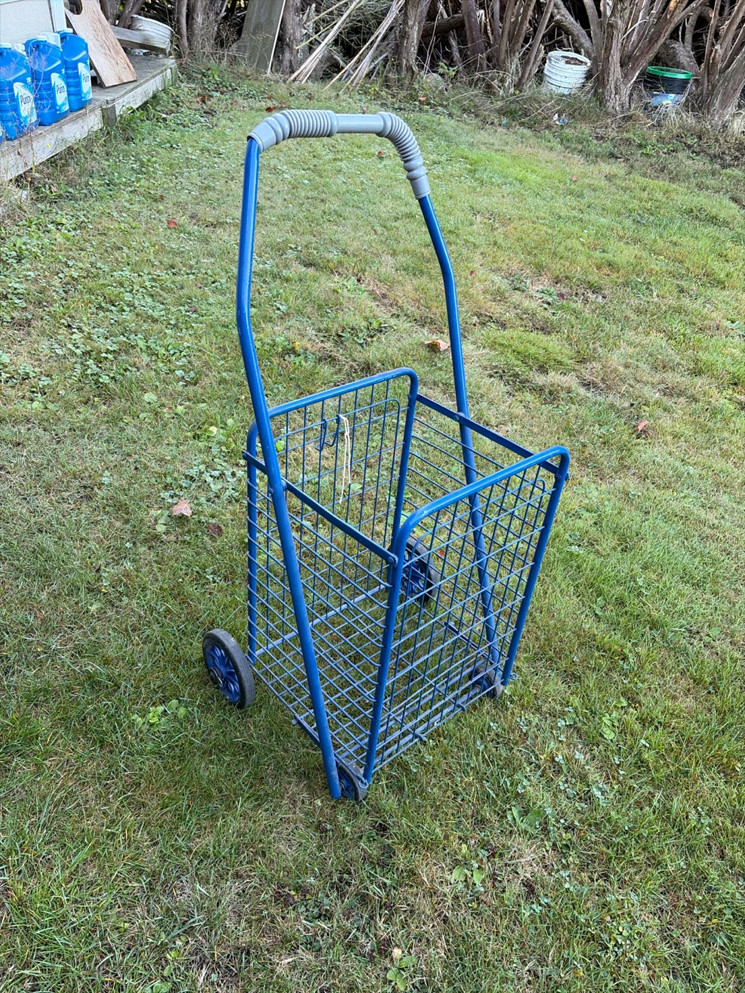 Blue Metal Wire Shopping Cart