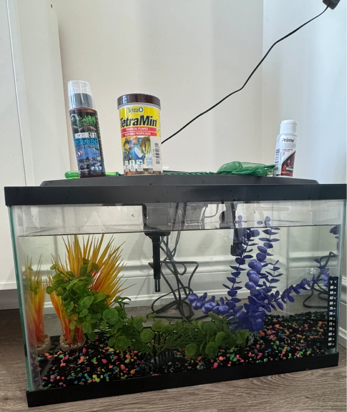 Aqueon LED Aquarium Kit - 10 gal brand new