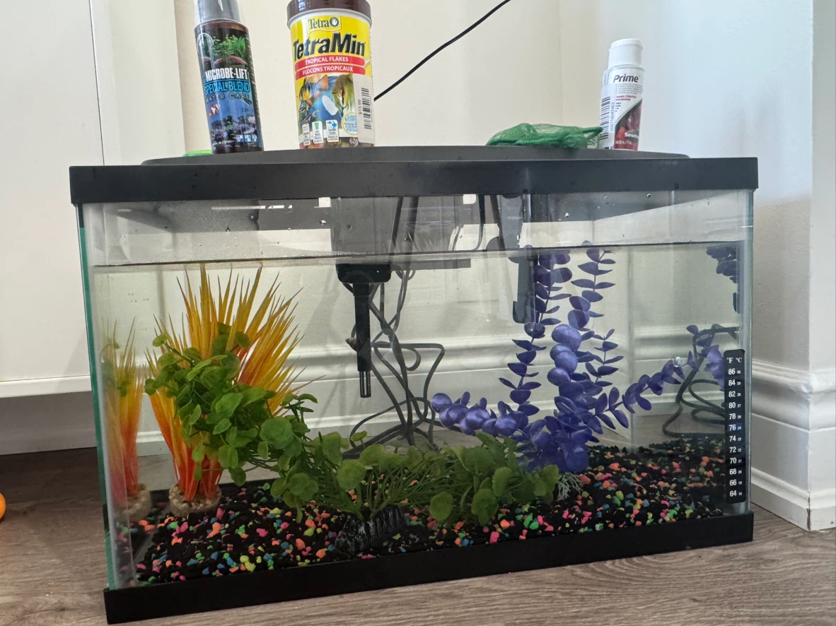 Aqueon LED Aquarium Kit - 10 gal brand new - photo 2