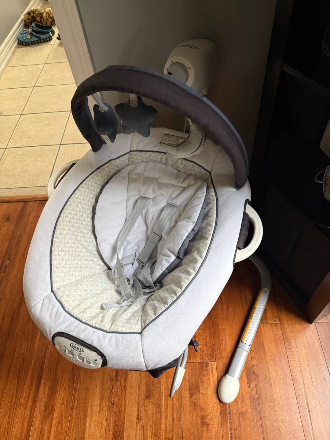 Graco Baby Swing with Portable Bouncer