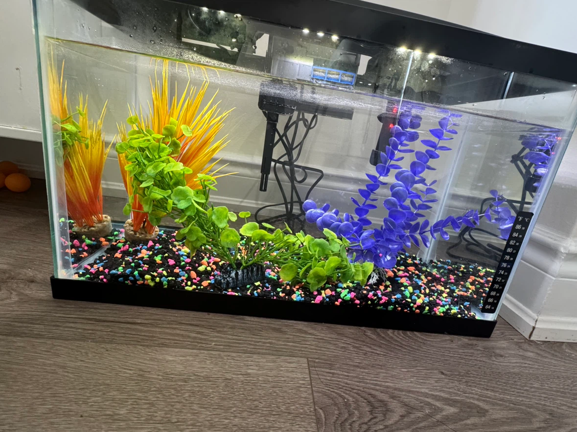 Aqueon LED Aquarium Kit - 10 gal brand new - photo 4