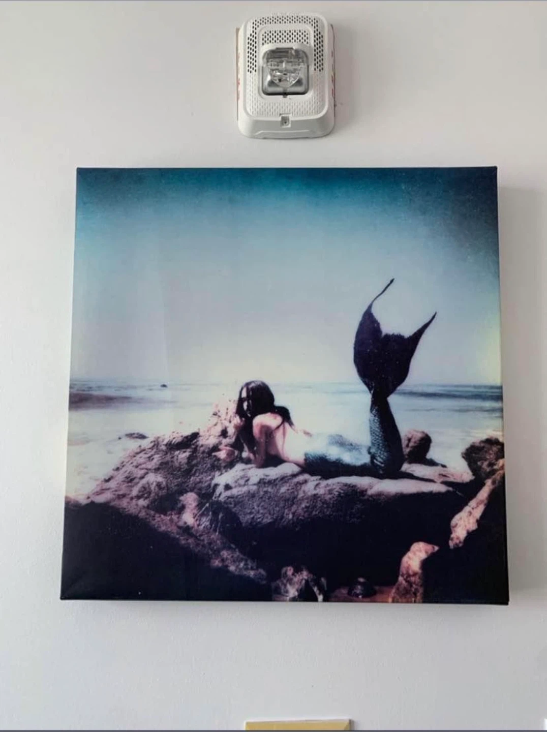 Mermaid canvas wall art
