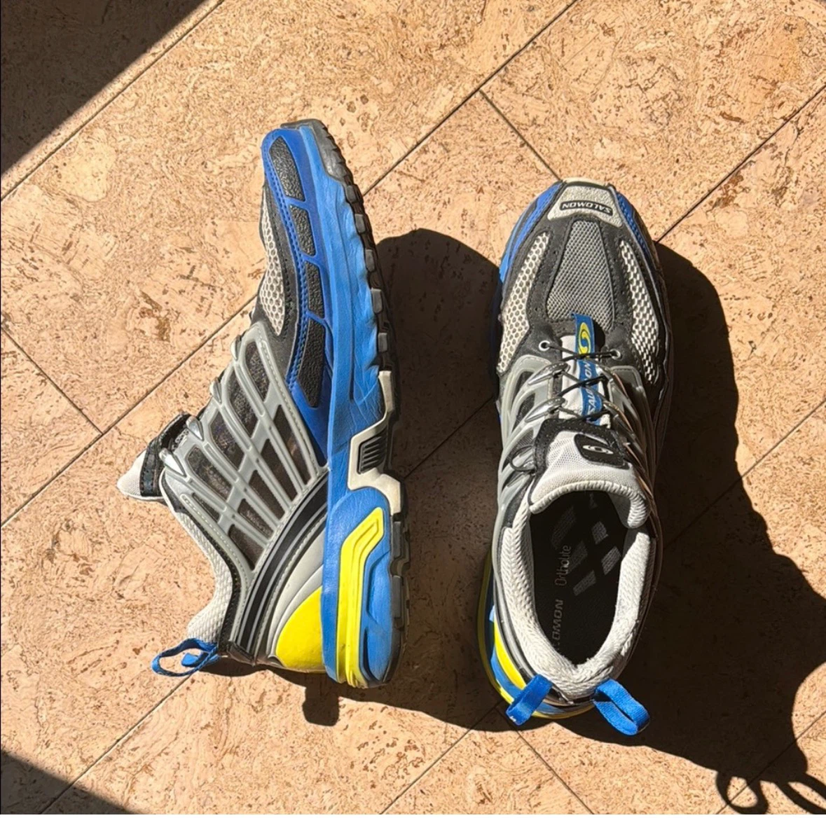 Salomon Running Shoes