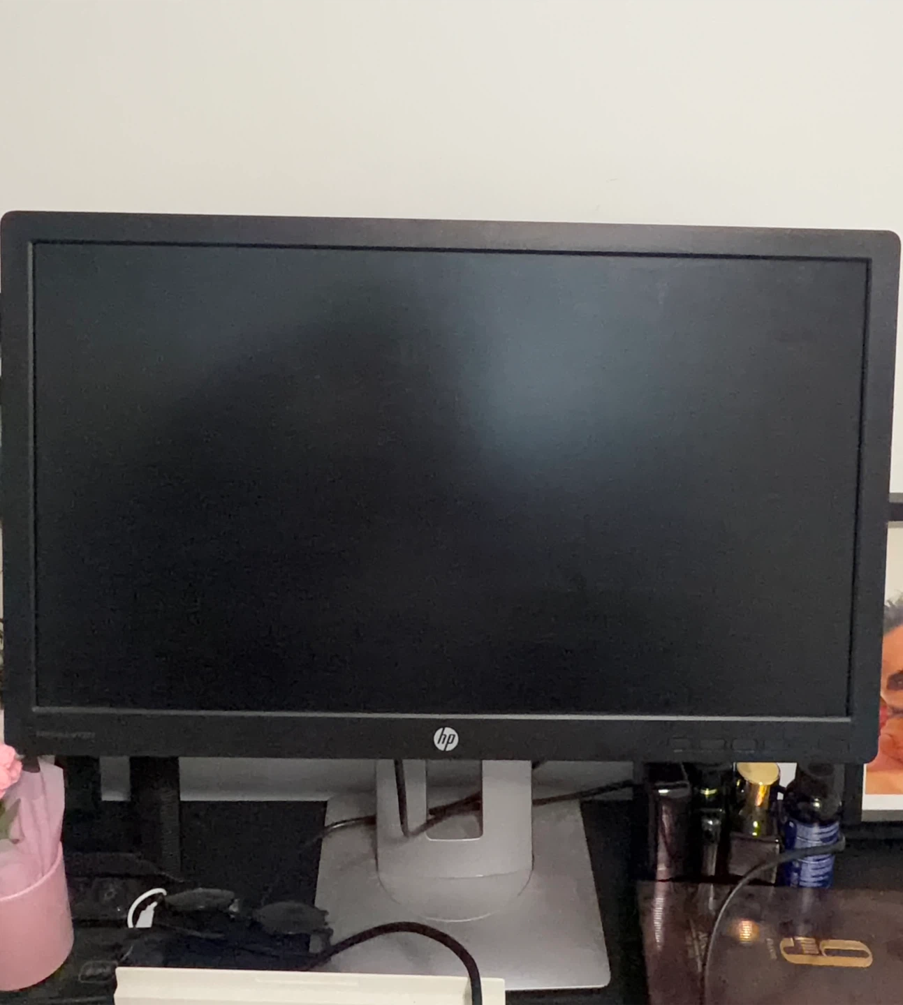 HP Computer Monitor