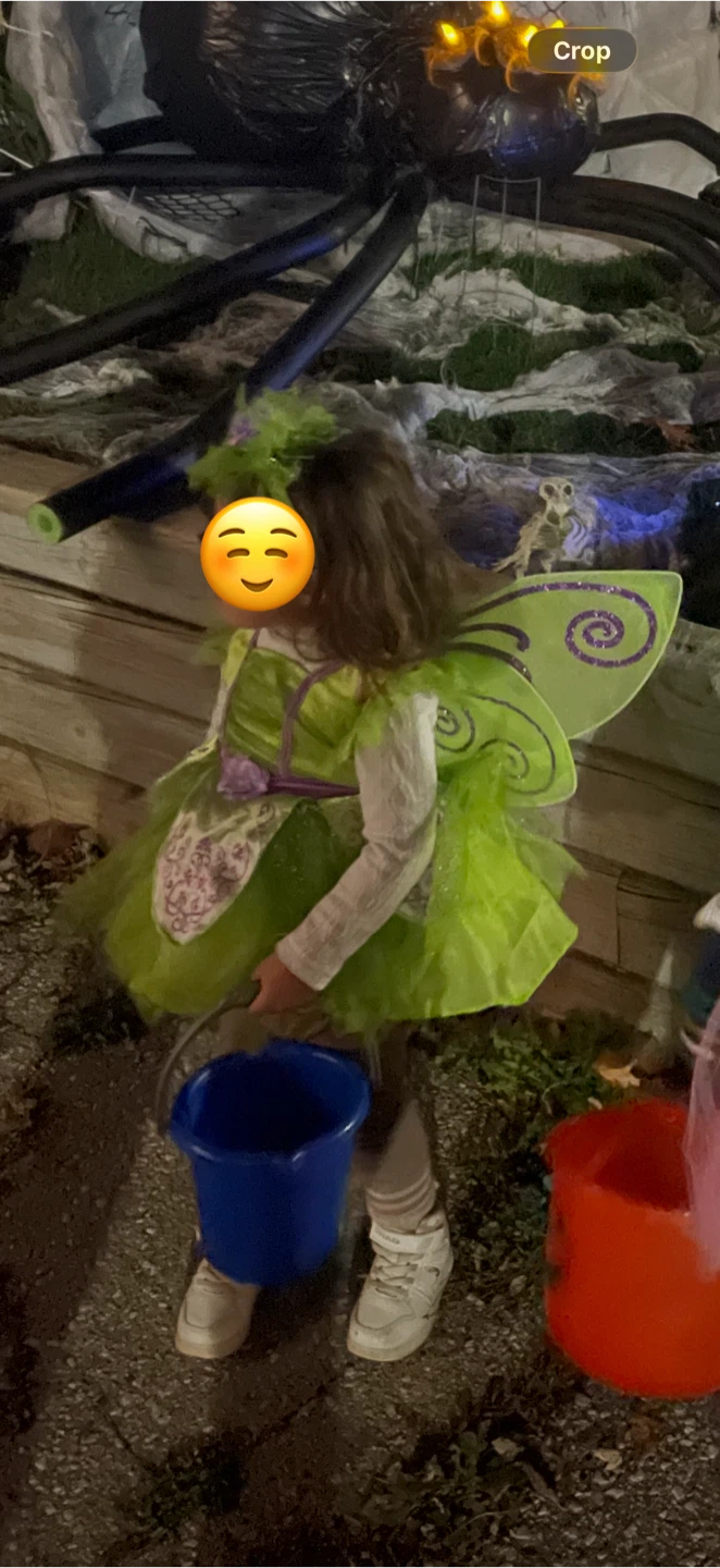 Assorted Toddler Halloween Costumes - photo 4