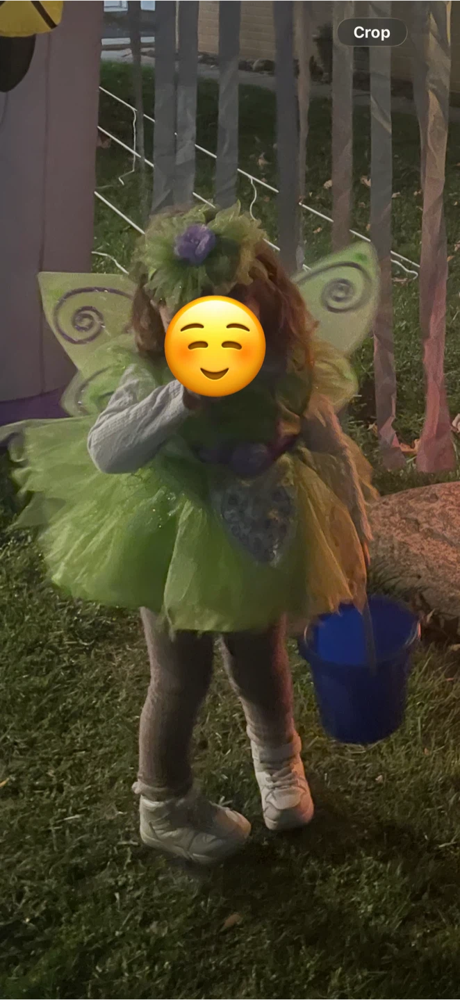 Assorted Toddler Halloween Costumes - photo 5