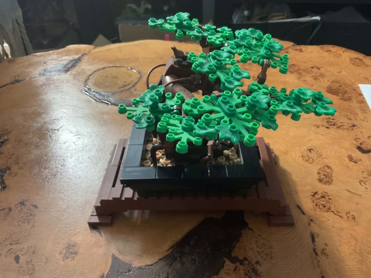 LEGO Bonsai Tree Set 10281