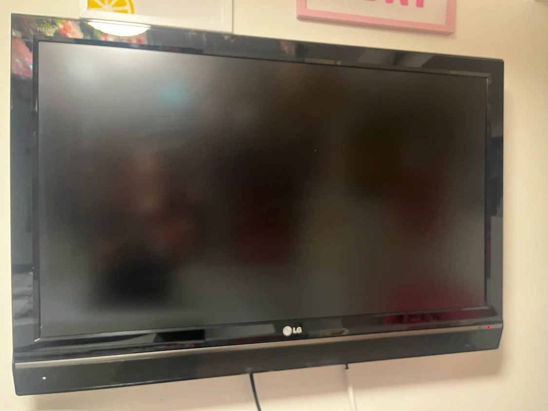 LG Flat Screen Television