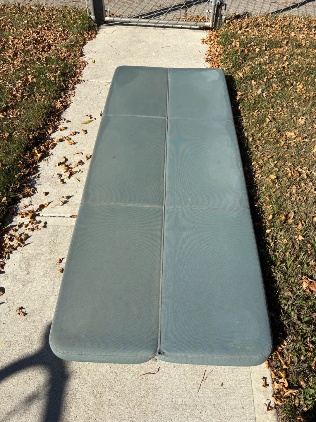 Free Mat pick up front yard 336 Falton Dr NE