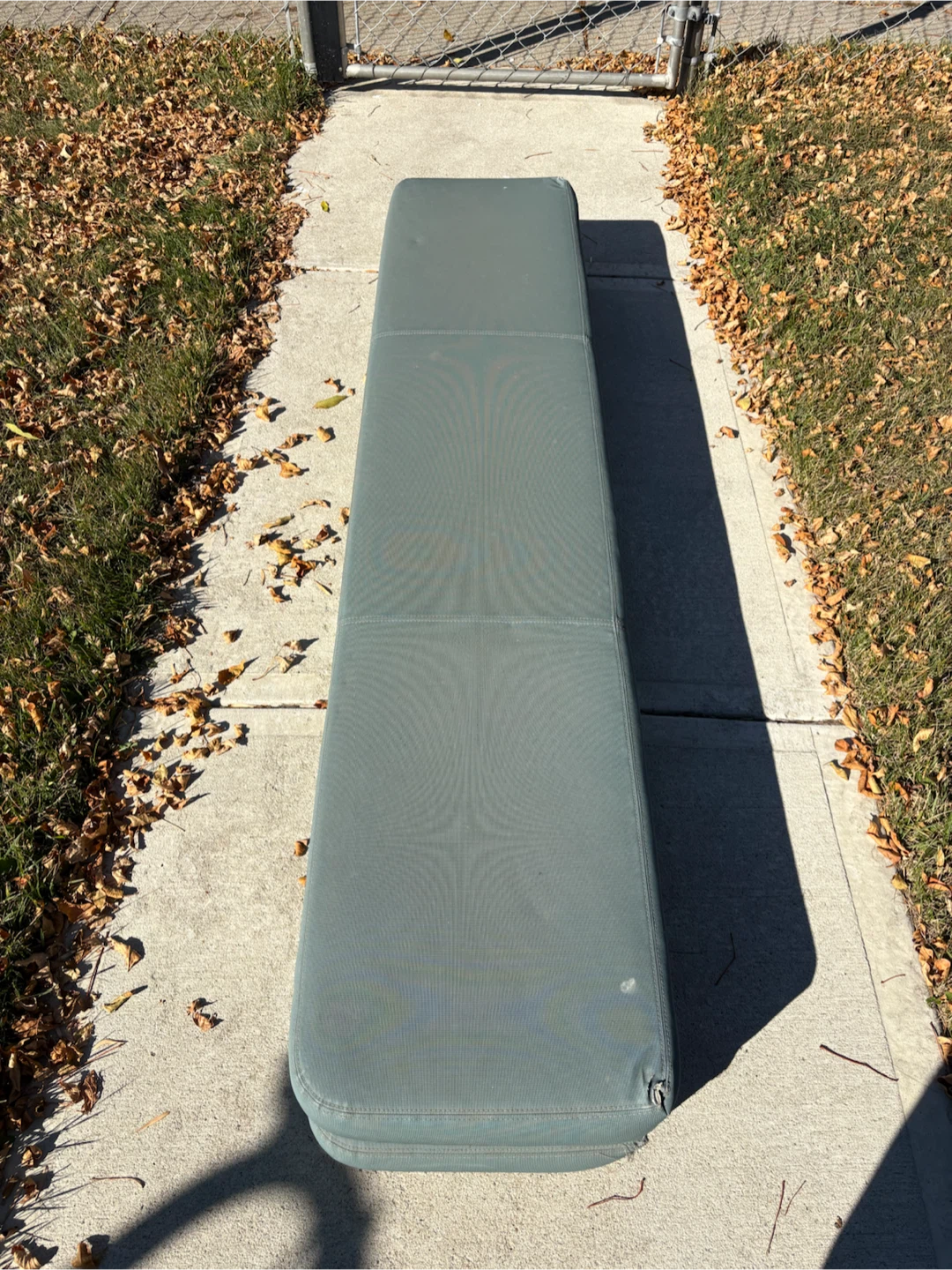 Free Mat pick up front yard 336 Falton Dr NE - photo 2