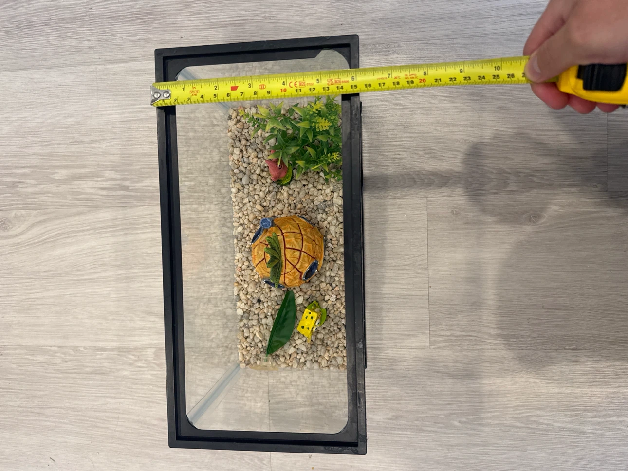 Small Glass Aquarium with SpongeBob Decorations - photo 2