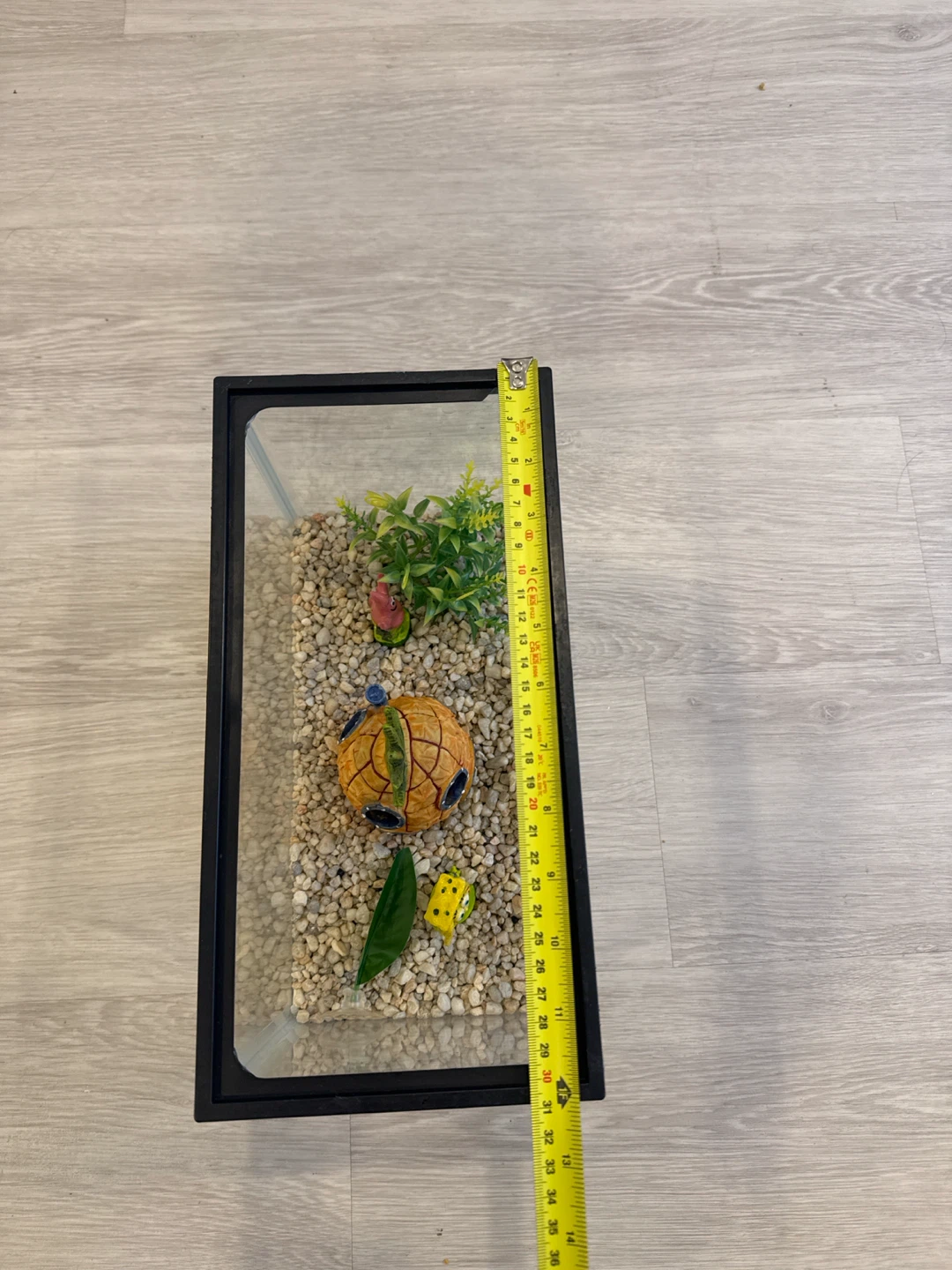 Small Glass Aquarium with SpongeBob Decorations - photo 3