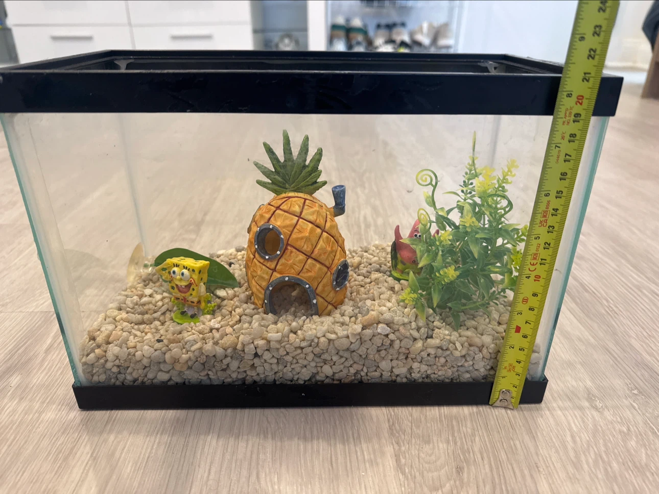 Small Glass Aquarium with SpongeBob Decorations - photo 4