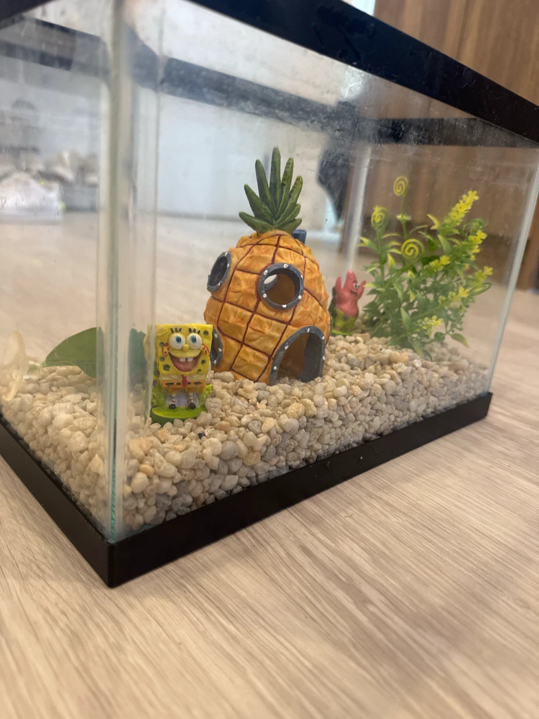 Small Glass Aquarium with SpongeBob Decorations