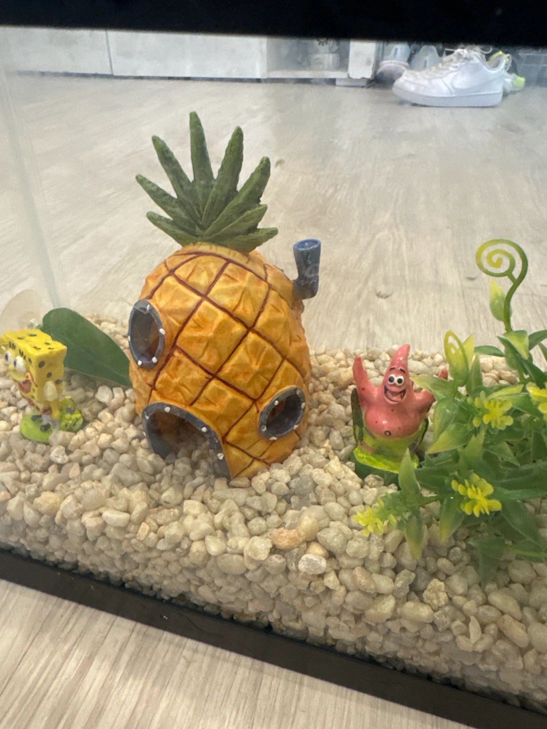 Small Glass Aquarium with SpongeBob Decorations - photo 5