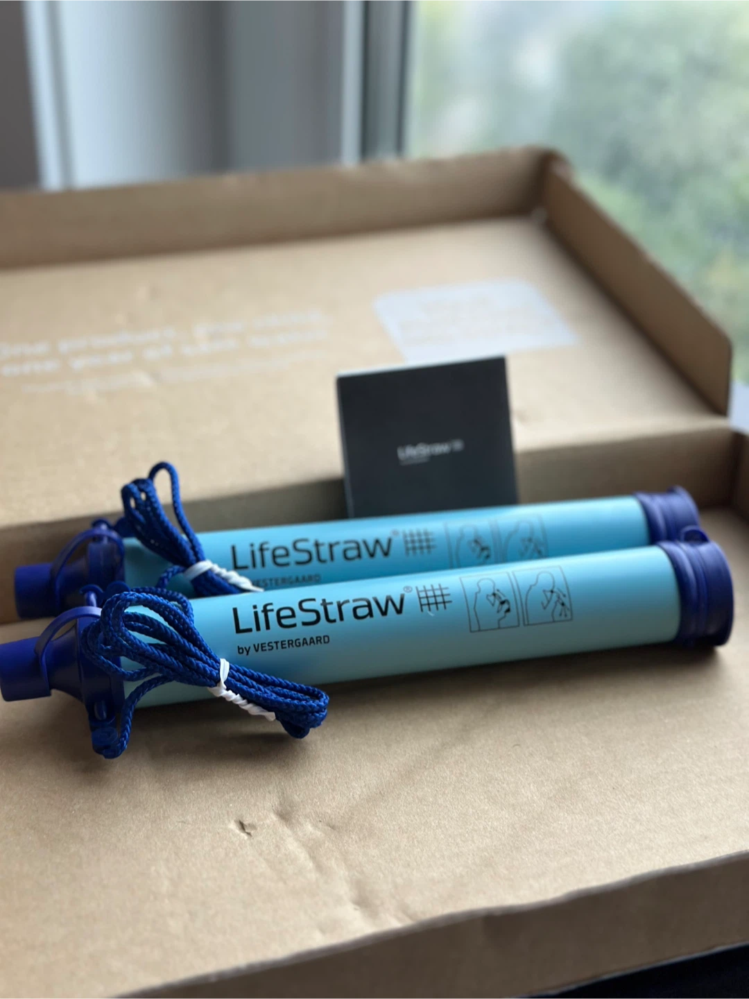 LifeStraw Personal Water Filter - Pack of 2