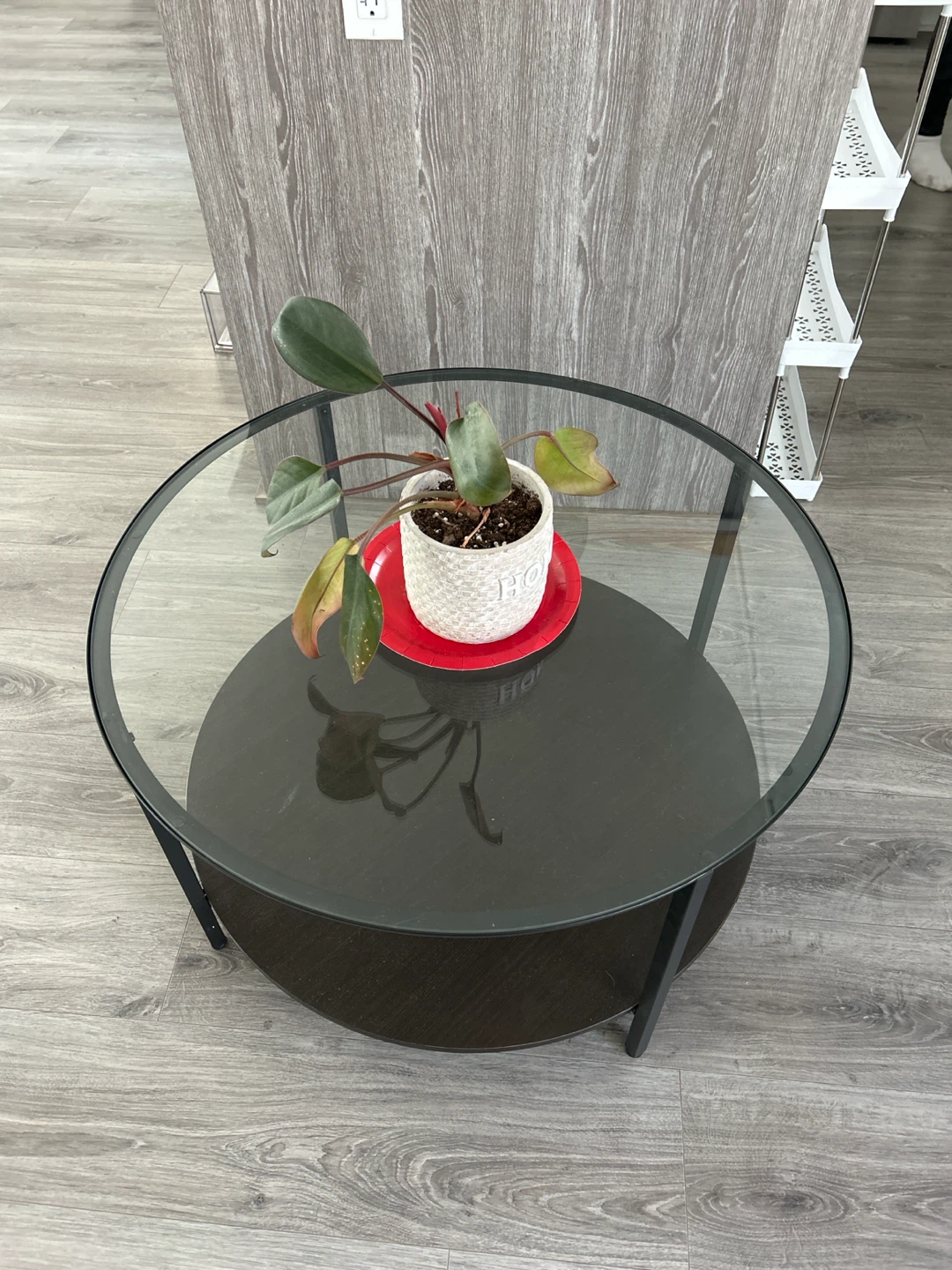 Round Glass Coffee Table with Lower Shelf - photo 2