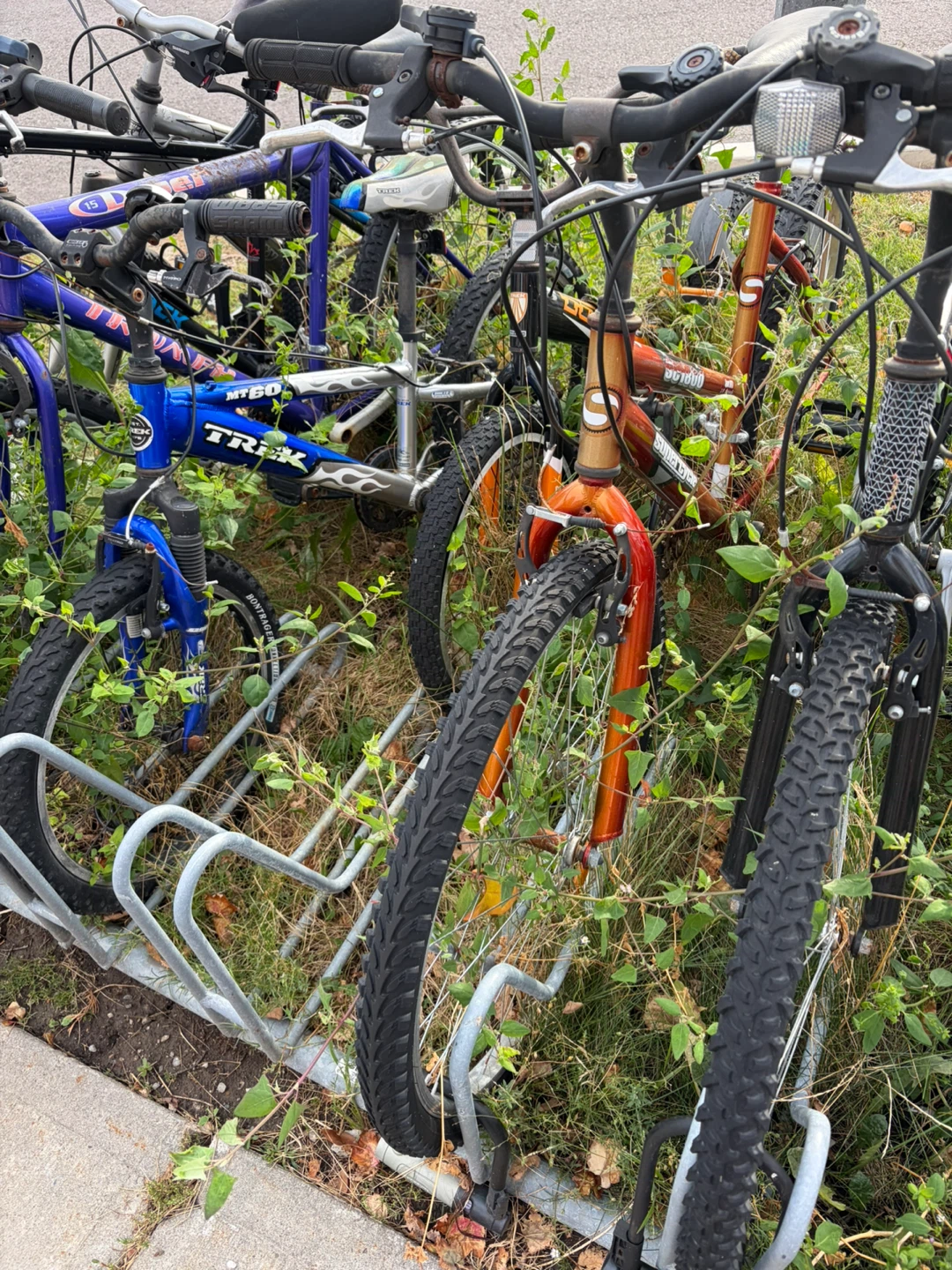 Supercycle Sport MTB 18-Speed Bike