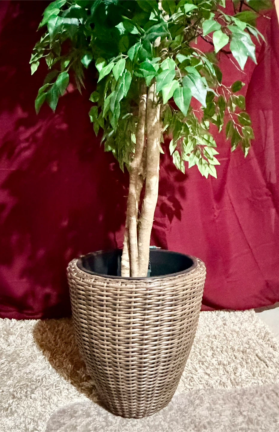7-feet tall Artificial Ficus Tree in Woven Planter - photo 3