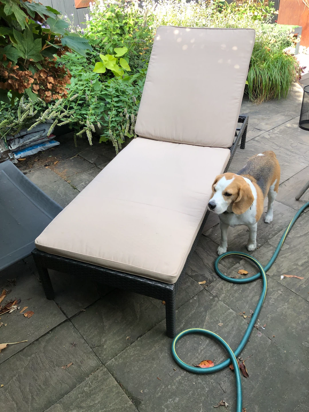 Wicker Patio Lounge Chair