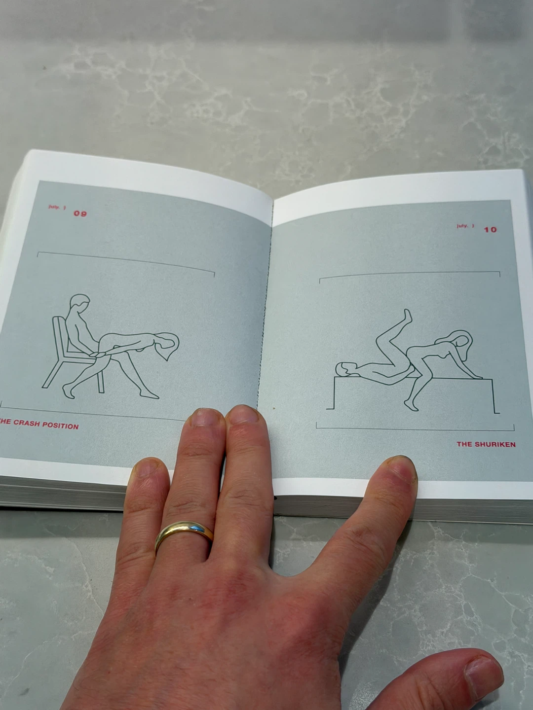 Position of the Day Book - photo 2