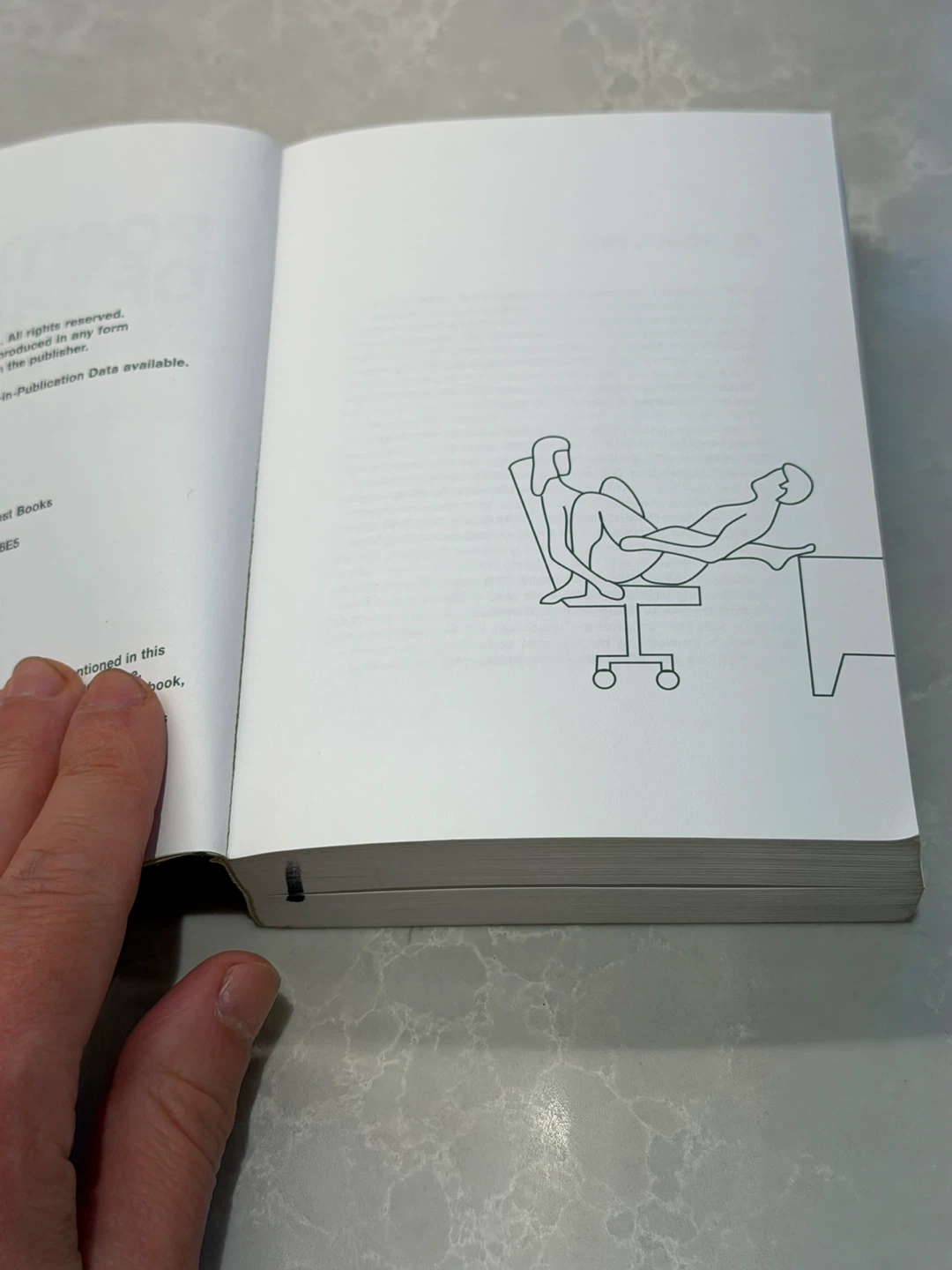 Position of the Day Book - photo 3