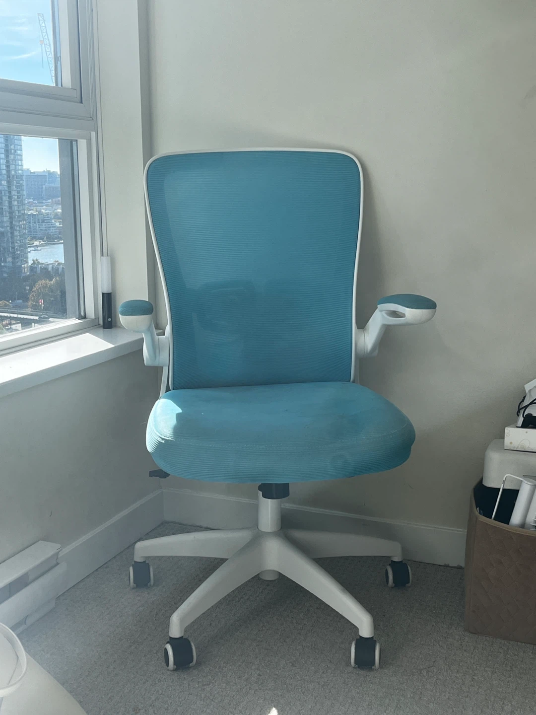 Blue & White Office Chair