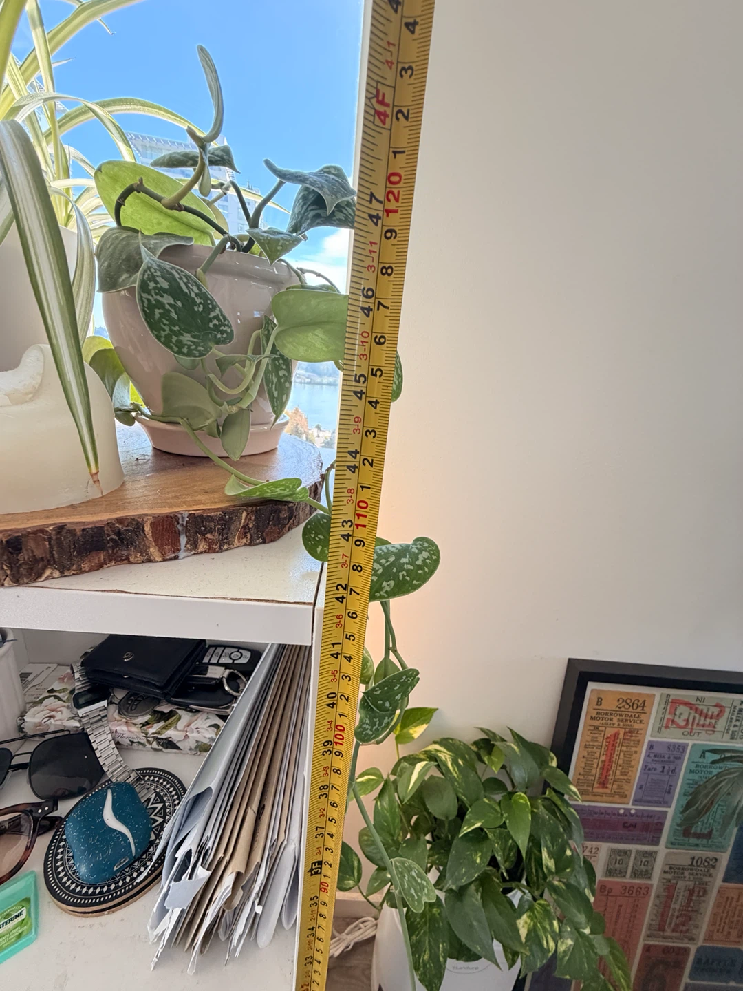 MOVING SALE- IKEA White Four-Shelf Storage - photo 2